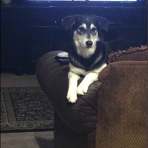 Meet your Posher, Soraya